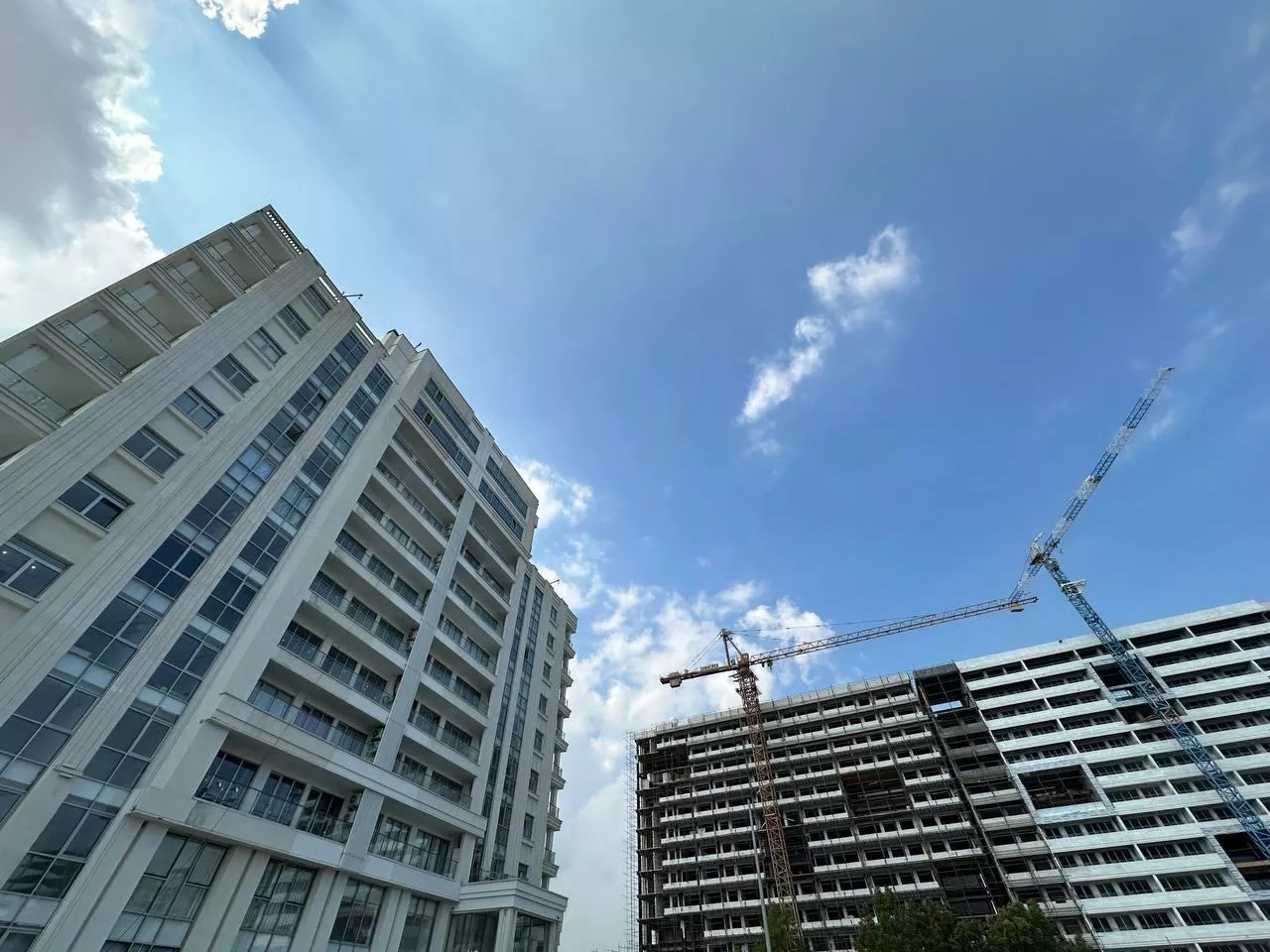 202311103372683351 Orig